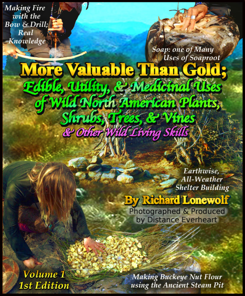 Latest Book Cover ad